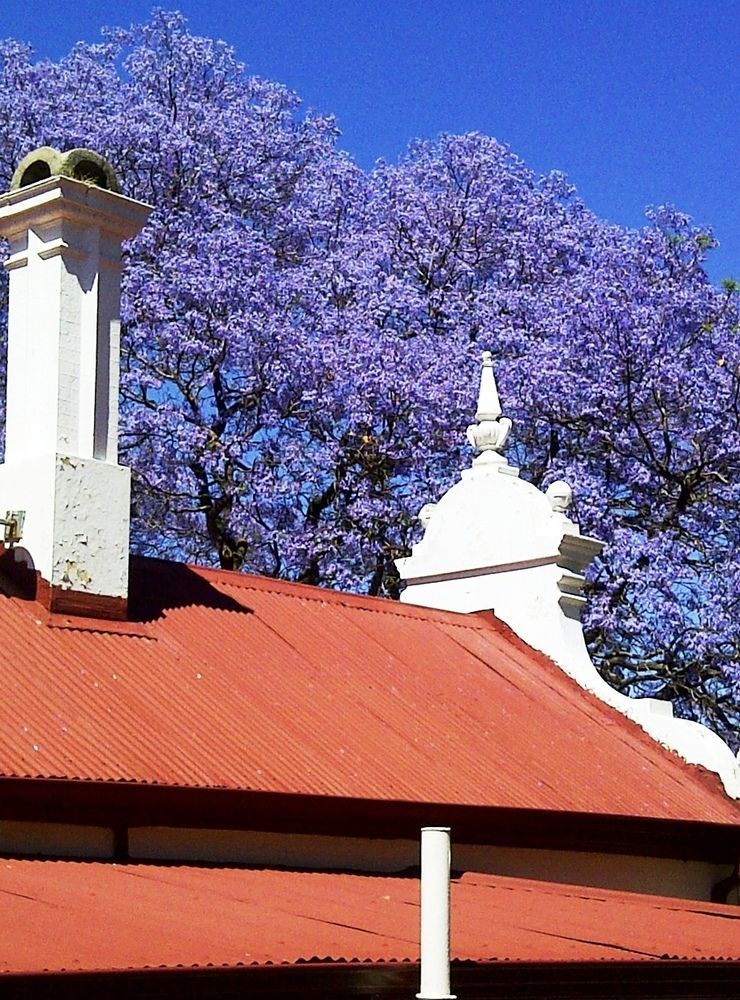 Melvin Residence Guest House Pretoria-Noord エクステリア 写真
